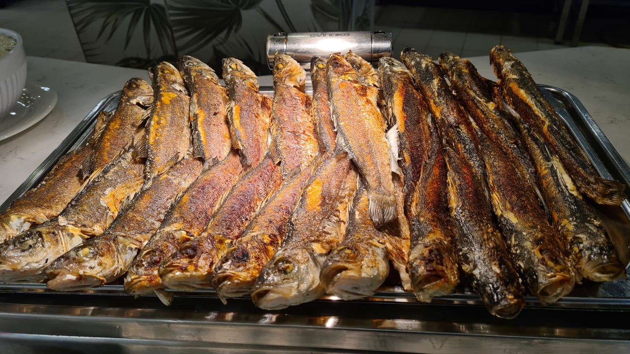 Gastro Granada Luxury Okurcalar