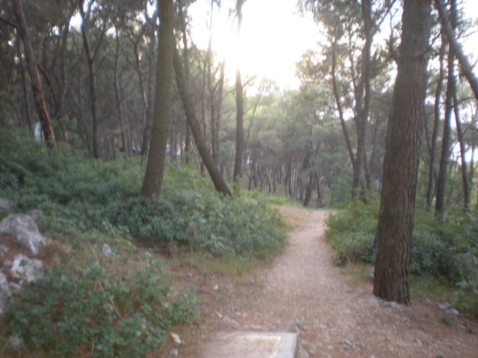 Weg zum Strand Apartments Kanegra Plava Laguna