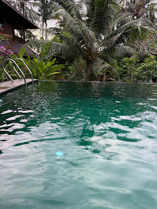 Pool Ananda JJ Ubud Resort & Spa
