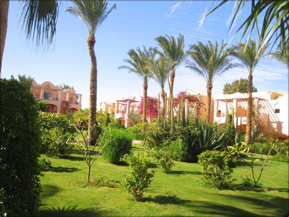 Die tolle Anlage  Jaz Makadi Oasis Resort