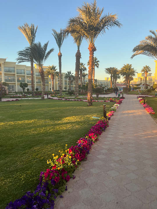 Gartenanlage Swiss Inn Resort Hurghada