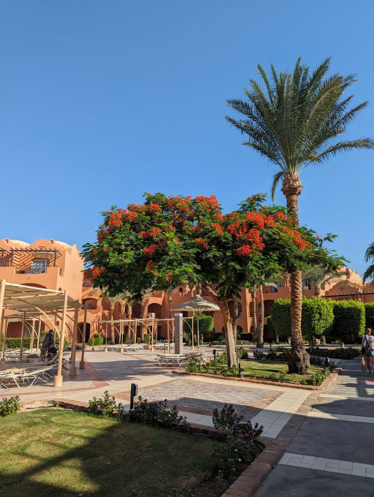 Gartenanlage Jaz Makadi Oasis Resort