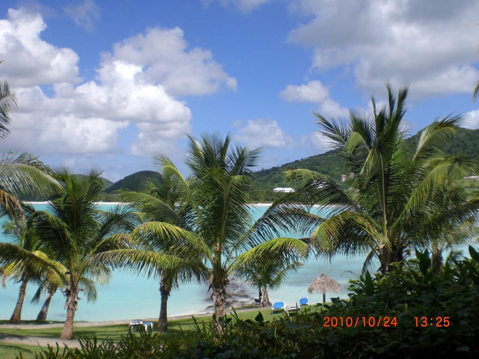 Strand auf der anderen Seite mit Grünanlage Cocobay Resort Antigua - Adults only