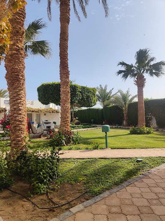 Sonstiges Shams Safaga Resort