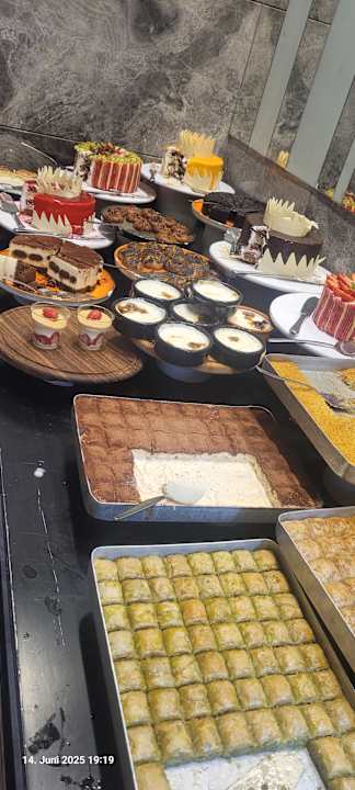 Gastro Seashell Vega