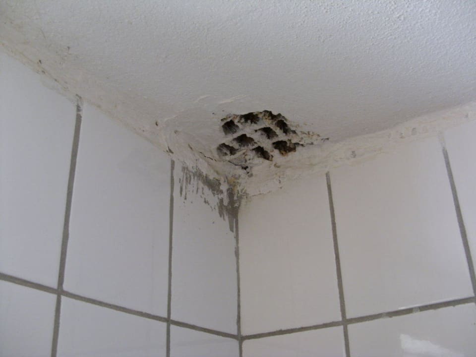 Pooltoilette New Garden Hotel Side