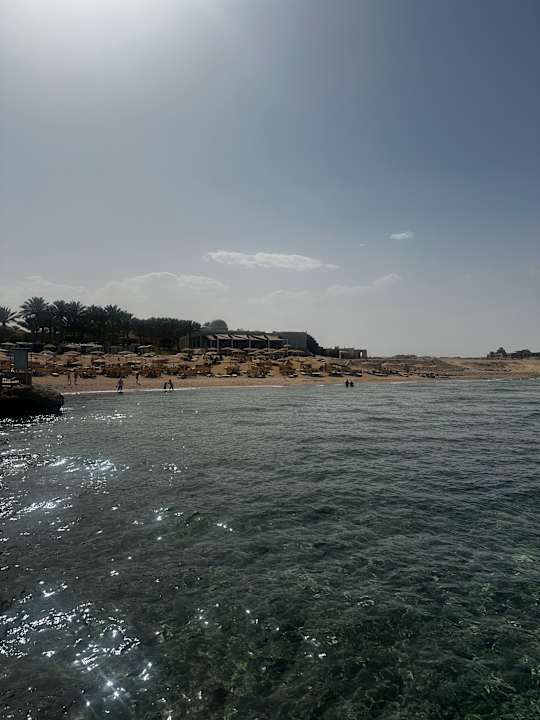 Strand Serenity Alma Heights