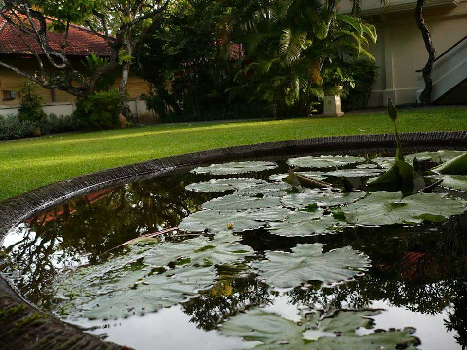 Seerosenteich im Garten des Puri Santrian Puri Santrian
