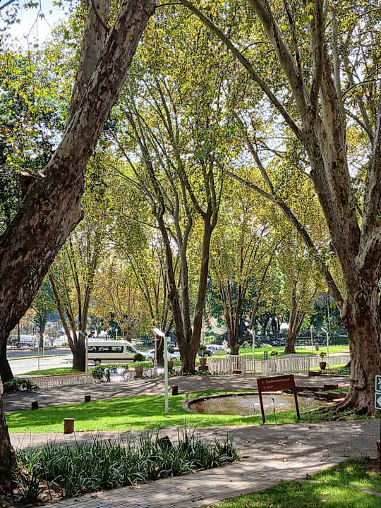 Ausblick Holiday Inn JOHANNESBURG SUNNYSIDE PARK by IHG