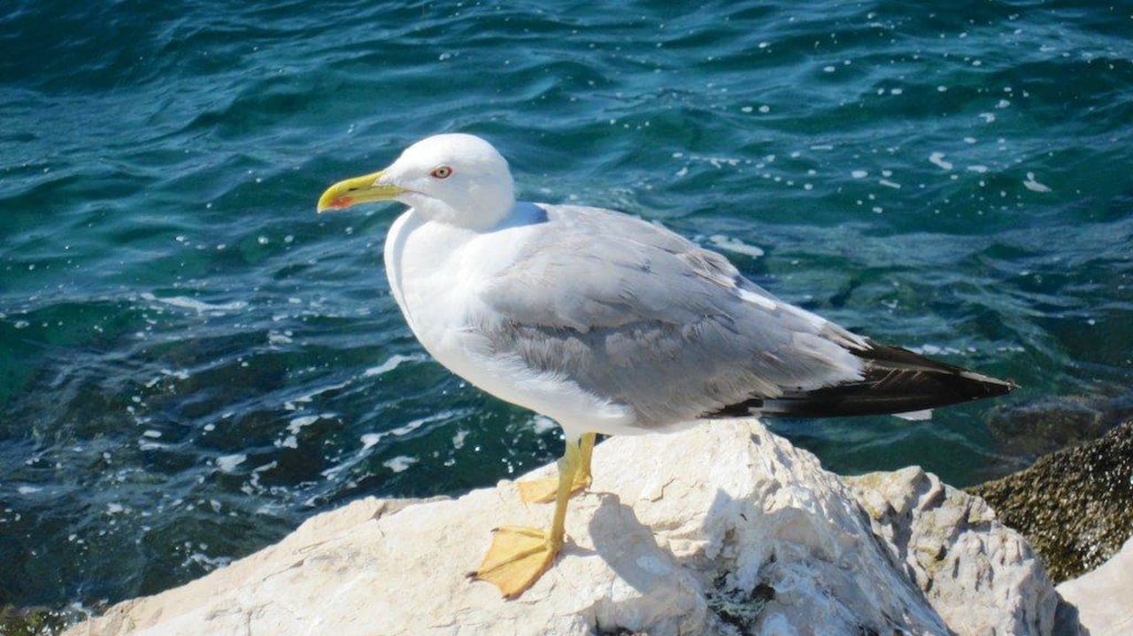 Palazzo Hotel & Spa BO Hotel Palazzo