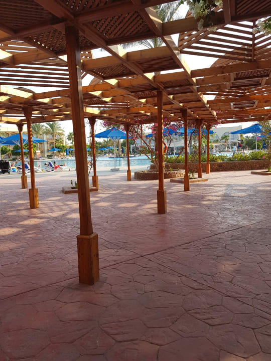 Sonstiges Desert Rose