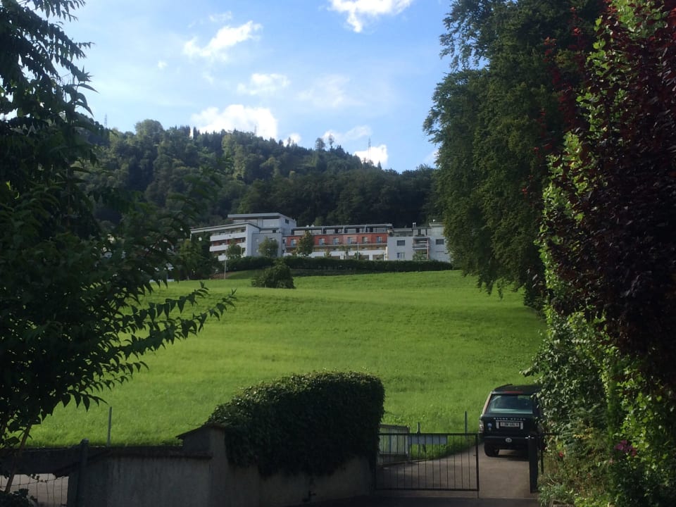 Blick vom See  Seehotel Wilerbad