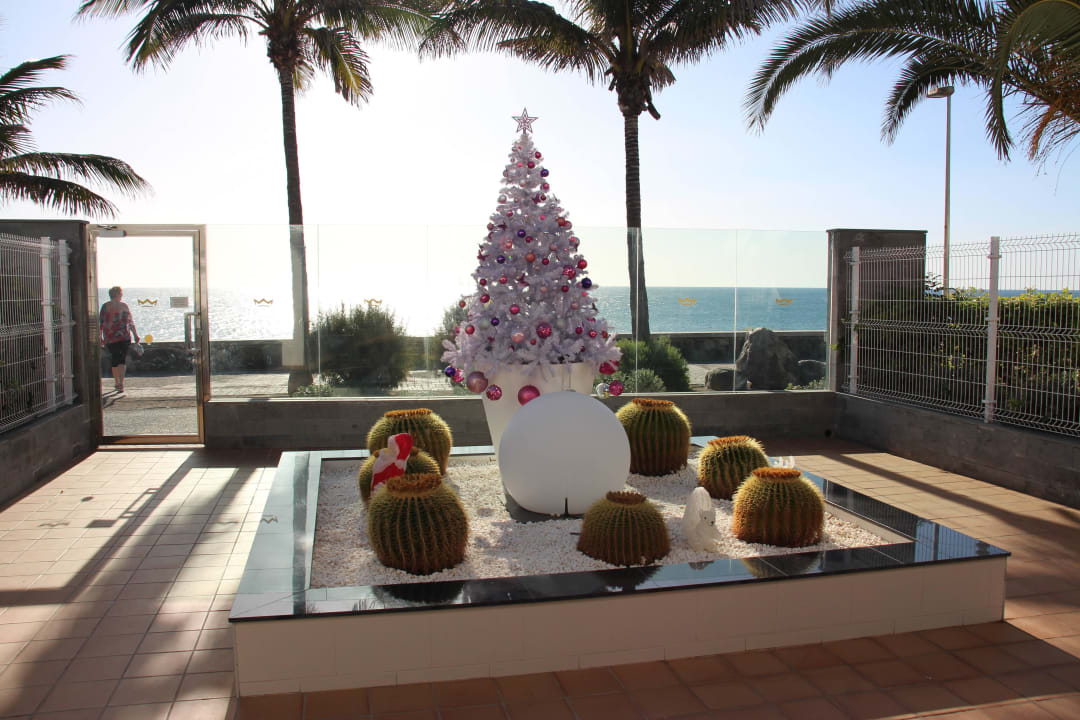 Kleiner Weihnachtsbaum aus Ausgang zur Promenade Hotel Riu Gran Canaria