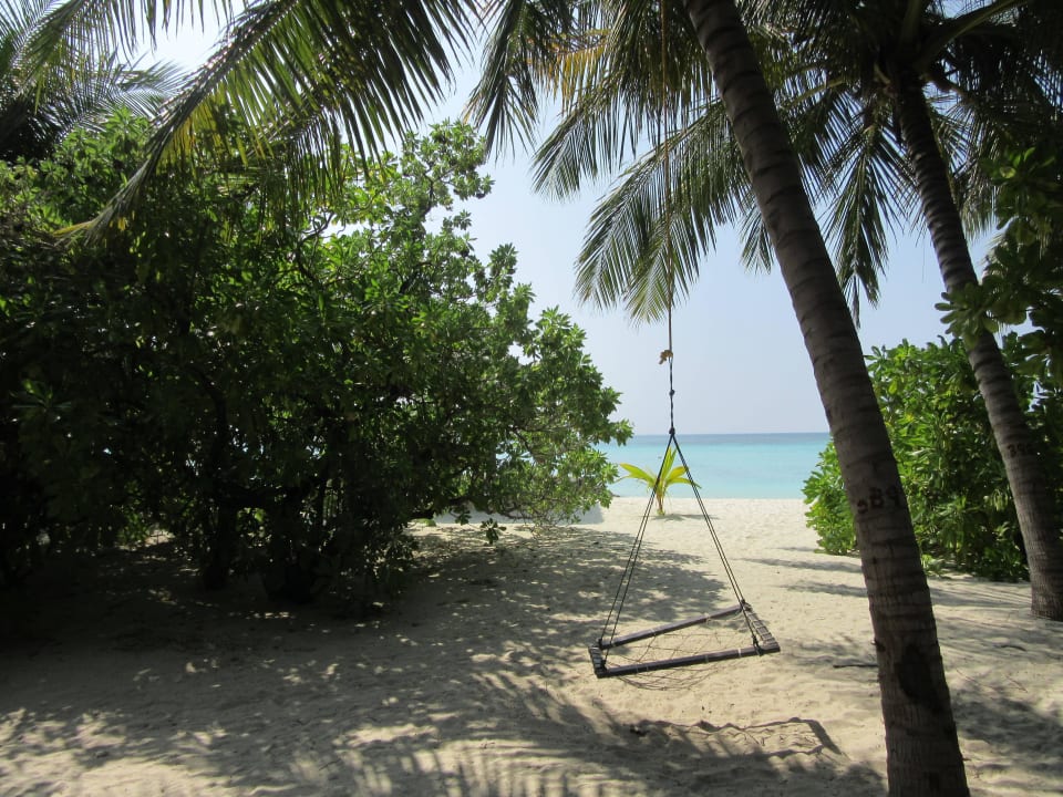 Strand Summer Island Maldives