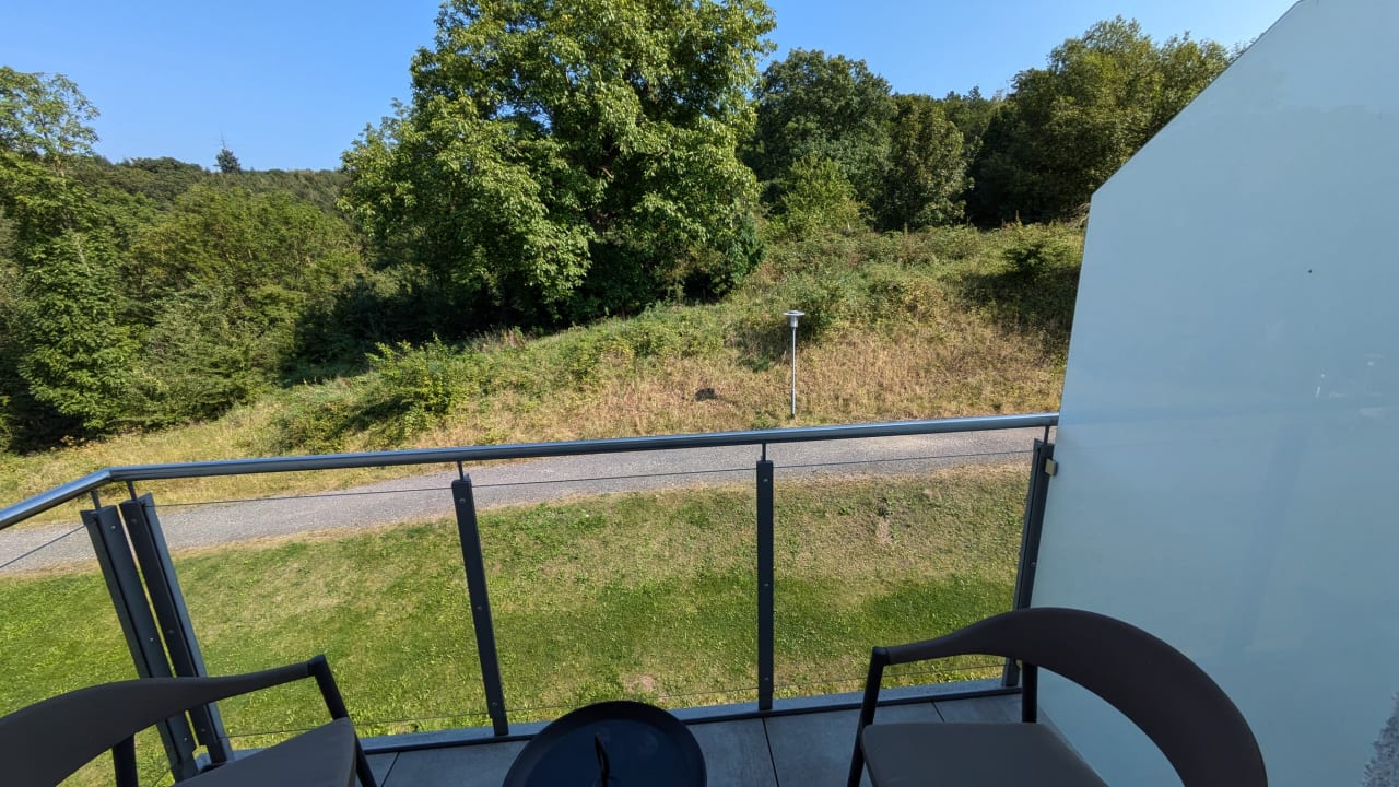 Ausblick Victor's Residenz-Hotel Teistungenburg
