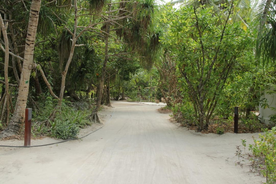 Gepflegte Wehe LUX South Ari Atoll