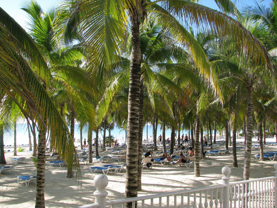 Blick vom Strandrestaurant Hotel Riu Palace Riviera Maya