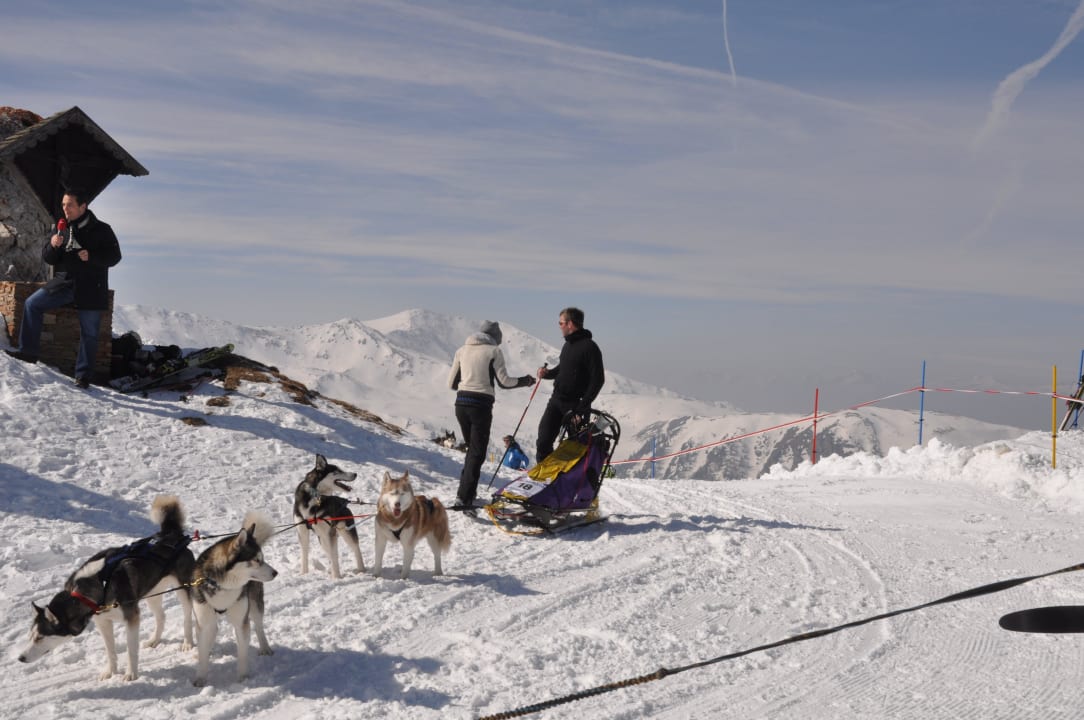 Hundeschlittenrennen in Innerkrems Familienalmhaus Gasser