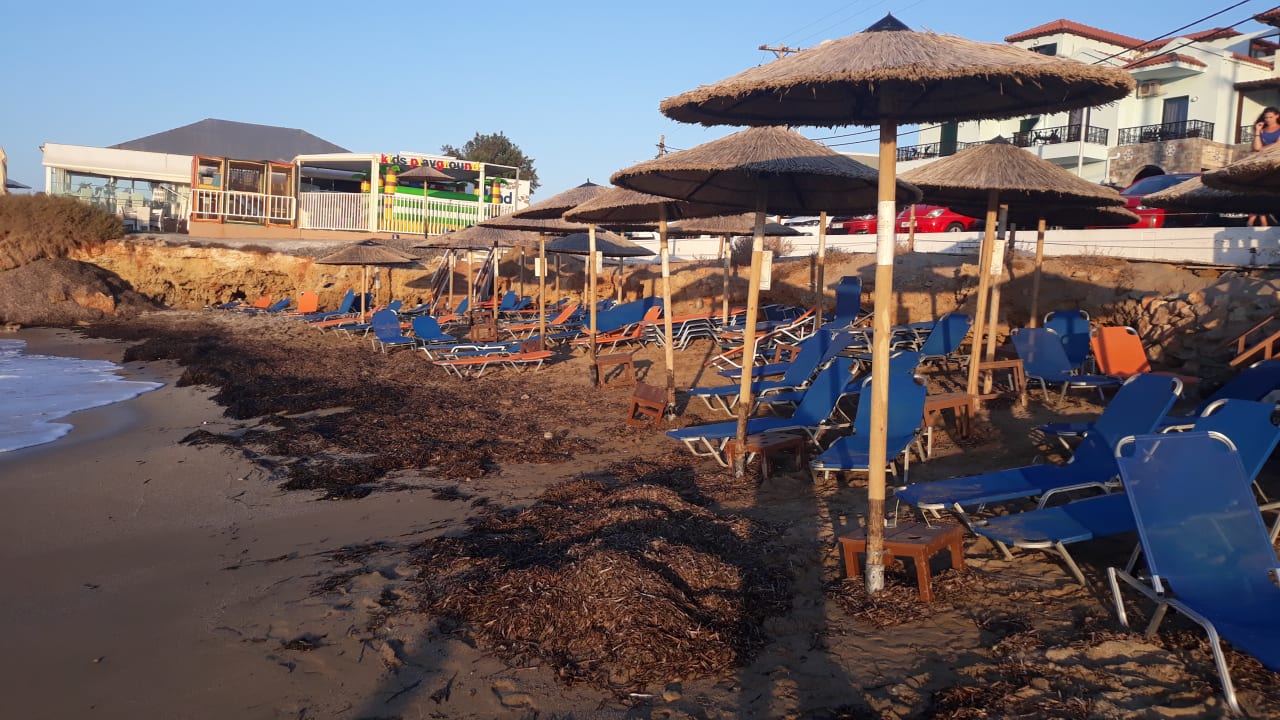 Strand Diogenis Blue Palace