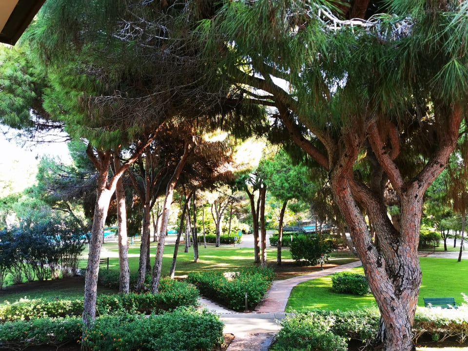Gartenanlage Xanadu Resort Hotel