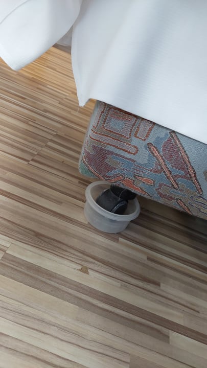 Zimmer Apartment Hotel zur Hanse Bahnhof Stade