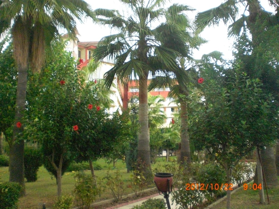 Weg zum Strand Saphir Hotel & Villas