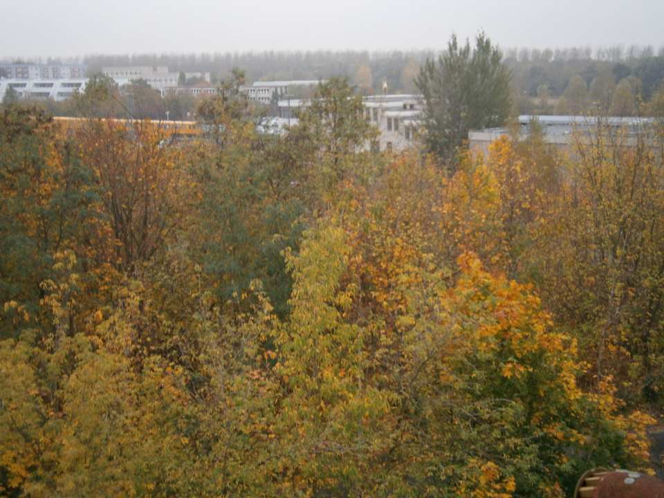 U-Bahn- in 30 Minuten im Zentrum Hotel Amadeus ROYAL Berlin