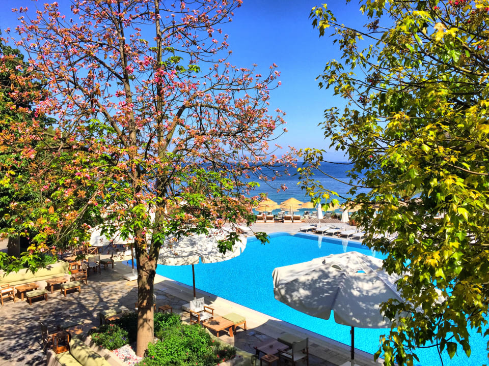 Restaurant Hillside Beach Club