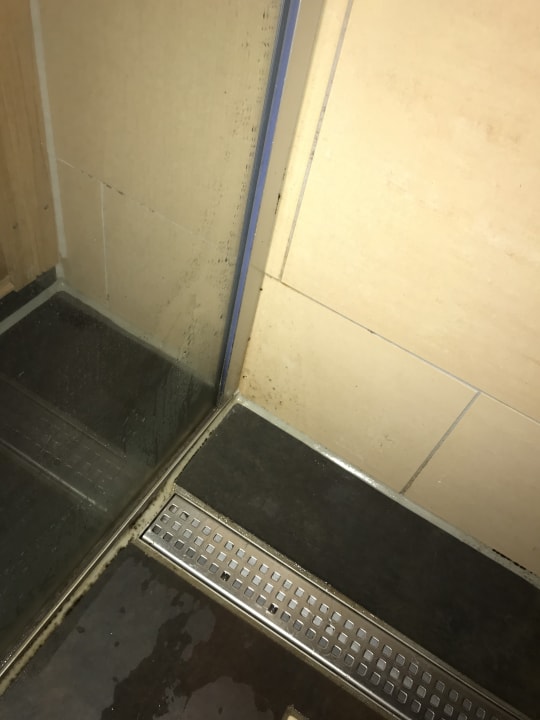 Zimmer Center Parcs De Eemhof