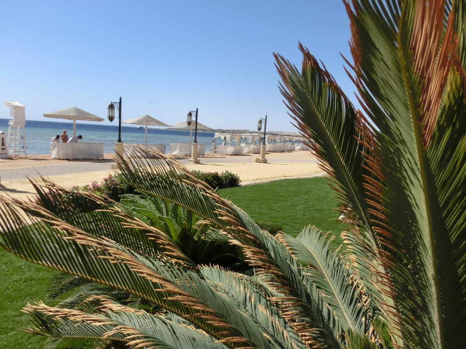 Strand Makadi Spa - Adults only