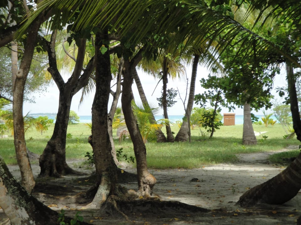 Blich zum Strand Bungi 630 Meeru Maldives Resort Island