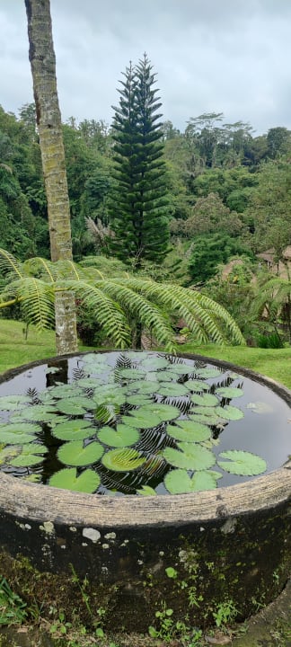 Gartenanlage Bagus Jati Health & Wellbeing Retreat