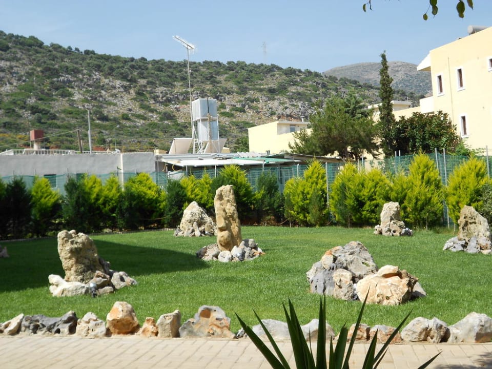 Wiese mit Steinen Cactus Beach
