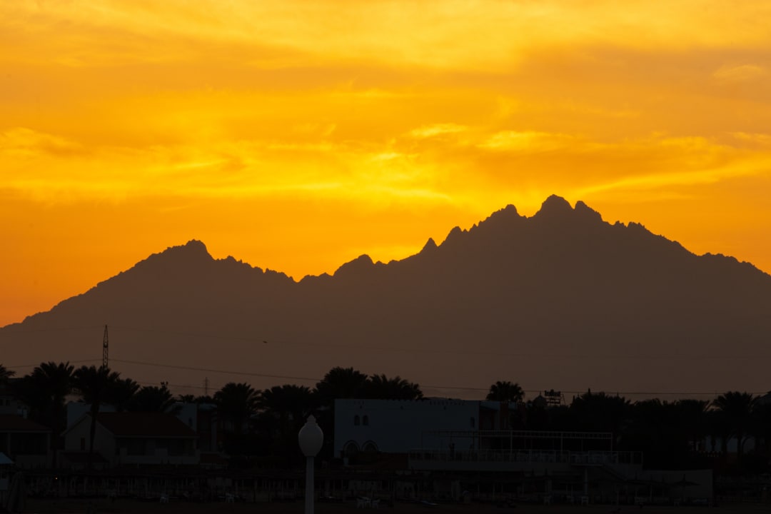 Ausblick Desert Rose