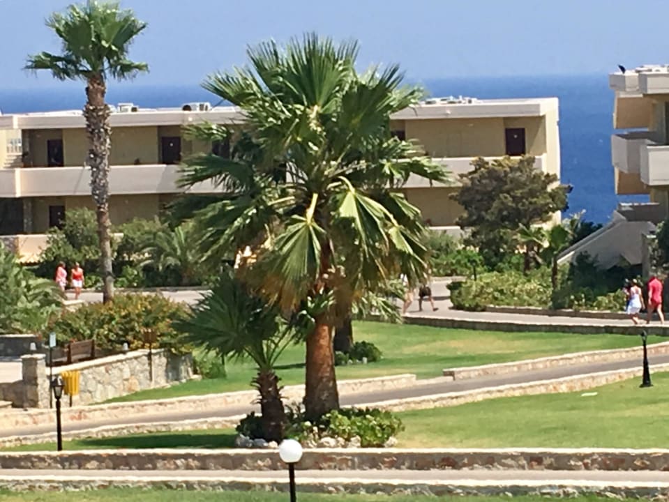 Garten  Hotel Kalithea Mare Palace