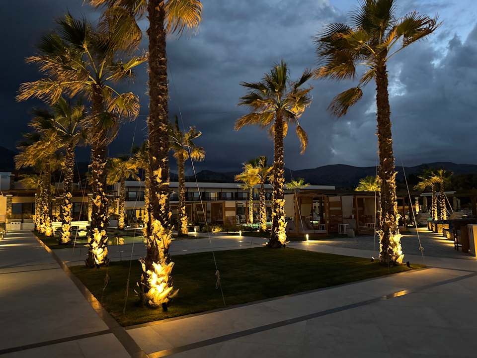 Gartenanlage allsun Hotel Carolina Mare