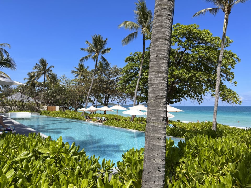 Pool Centara Reserve Samui