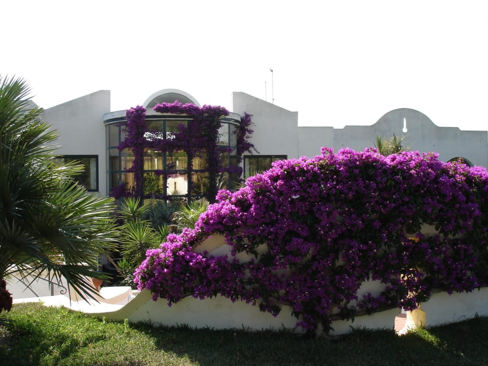 Hoteleingang Hotel Paradiso Terme Resort & SPA