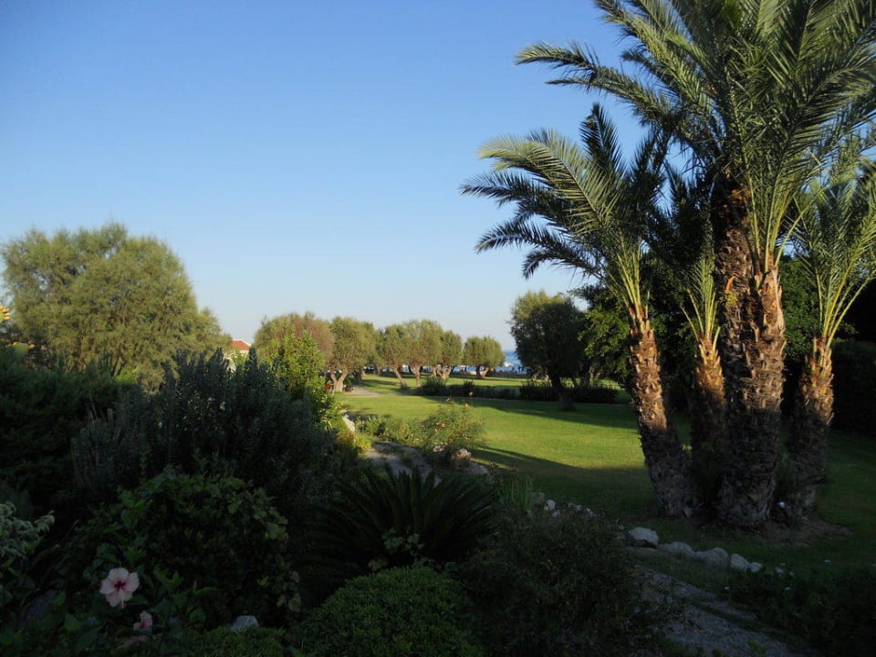 Palmen Grecotel LUXME Dama Dama