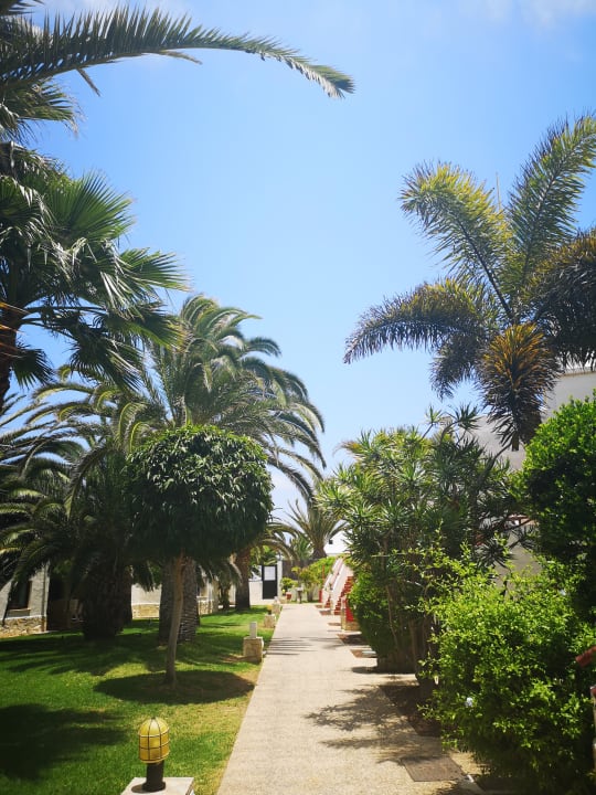 Gartenanlage Alua Suites Fuerteventura