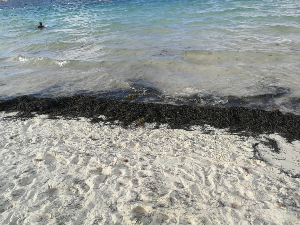 Strand Lopesan Costa Bávaro Resort, Spa & Casino