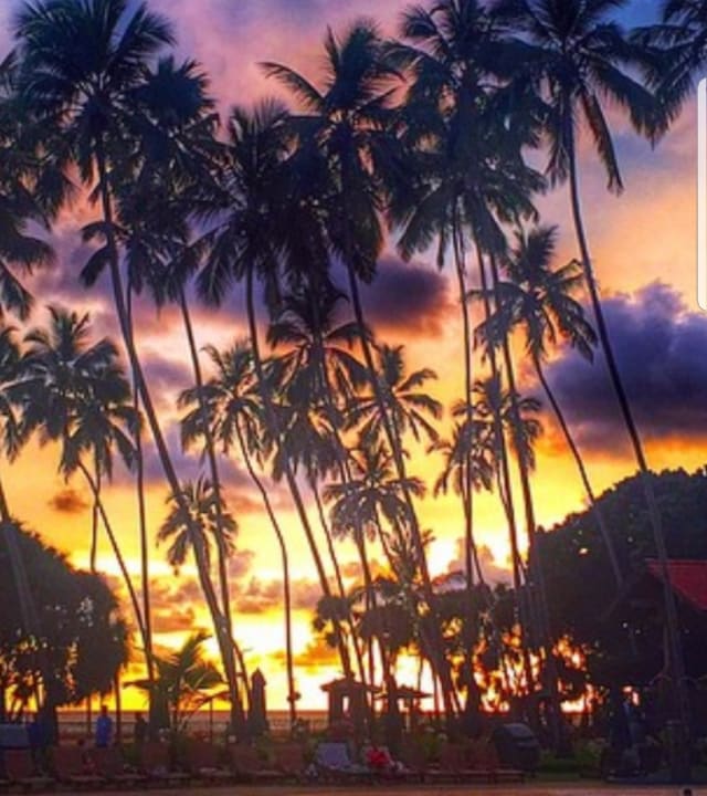 Ausblick Royal Palms Beach Hotel