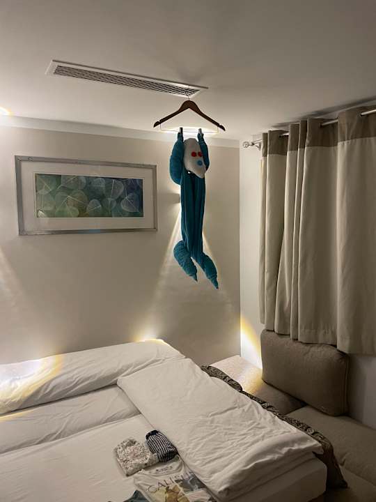 Zimmer JAZ Elite Asteria