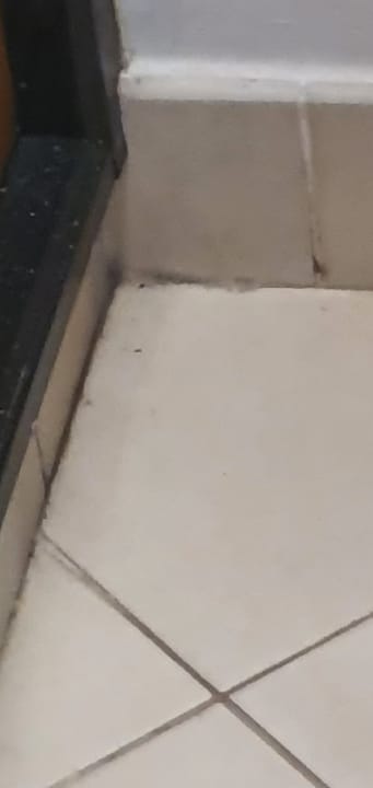 Zimmer HL Miraflor Suites Hotel