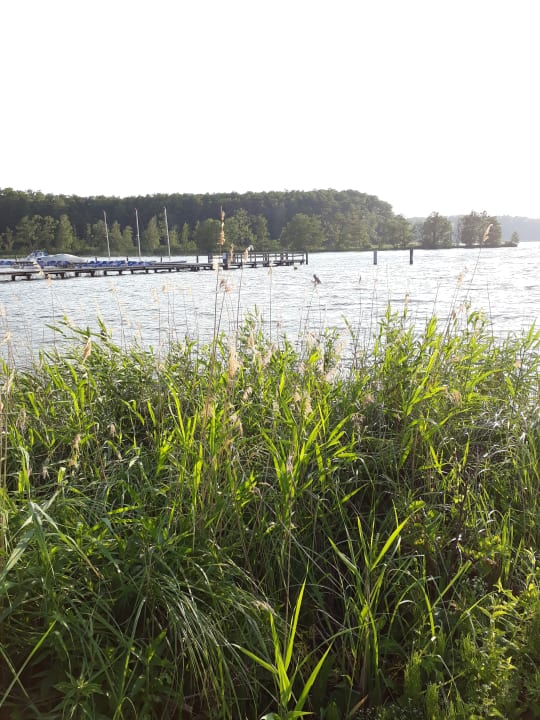 Strand Precise Resort Hafendorf Rheinsberg