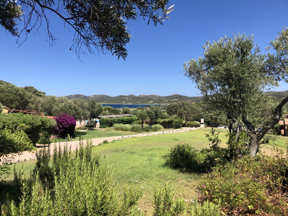 Gartenanlage Hotel Maora Village