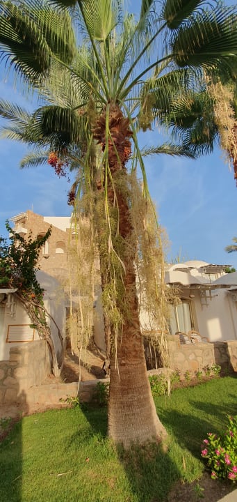 Gartenanlage Brayka Bay Resort