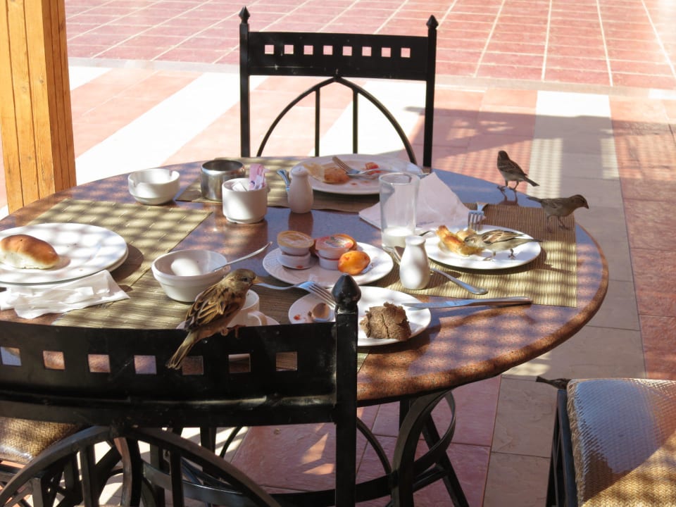 Hotel Fantasia 1001 Nacht - Alf Leila wa Leila Pickalbatros Alf Leila Wa Leila Resort - Neverland Hurghada