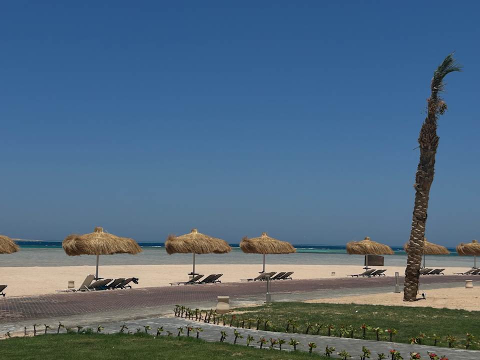 Strand JAZ Elite Asteria