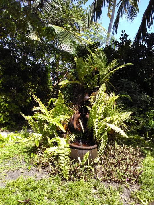 Gartenanlage Veligandu Maldives Resort Island